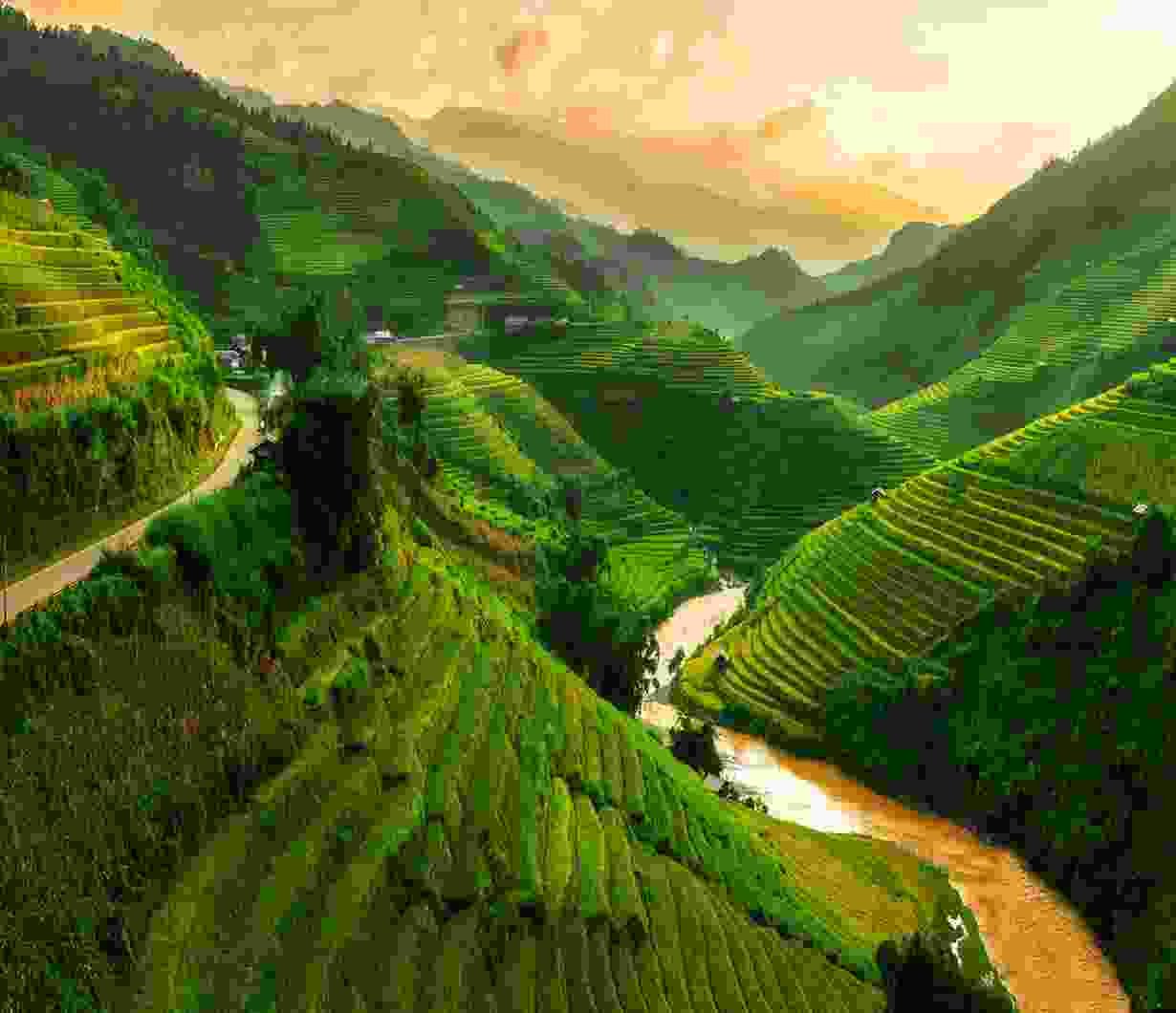 Aromatherapy massage